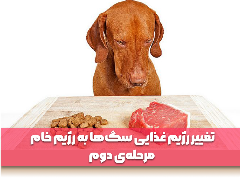 تغییر رژیم غذایی سگ‌ها به رژیم خام: مرحله‌ی دوم